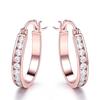 Rose Gold Plated Chic Zircon Circle Earrings for Women Round Zircon Earrings For Wome Charm Jewelry