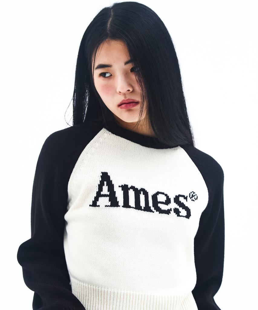 AMES-WORLDWIDE Basic Raglan Pullover Knit Ivory