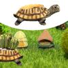 Turtle Resin Flower Pot Statue Animal Decoration Creative Holder Decorative Planter for Patio