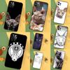 Чехол Сфинкс для iPhone 13 12 Mini 11 14 16 15 Pro Max 7 8 Plus X XR XS Max Задняя крышка