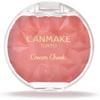 Безымянный Canmake Cream Cheek 1 шт 2,2 г 05 Сладкий абрикос Нормальный 05 Сладкий абрикос