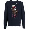 Polo Patterned Knit Crew Neck Sweater Men Sweater Dark-Blue 710834685-001