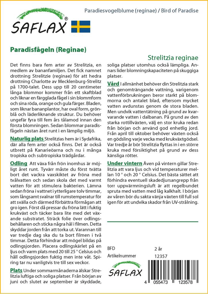 SAFLAX - Gift Set - Bird of Paradise - 5 seeds - With gift box, card, label and potting substrate - Strelitzia reginae