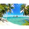 5D полная квадратная алмазная живопись Приморский комплект со стразами комплект для алмазной вышивки пейзаж кокосовая пальма ремесло настенное искусство