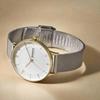 Часы RIIS SKW2912 Silver [Skagen] Женские
