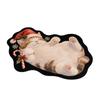 Cat Dog Decor Christmas Doormat Irregular Shape Door Mat Christmas Welcome Mat  Holiday Home Decor