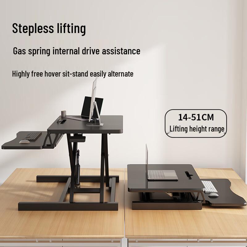 DANLE Standing Desk Converter
