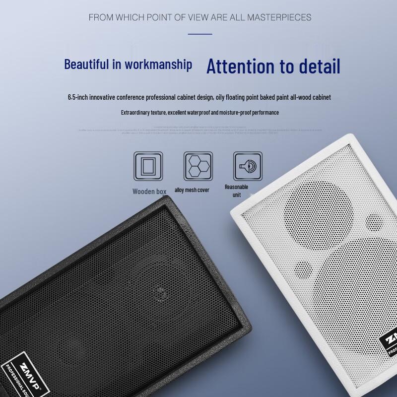 ZMVP S65 6.5-inch Passive Full-Range Conference Speaker