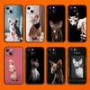Модный чехол для телефона с изображением сфинкса и кота для iPhone Samsung Galaxy Redmi Xiaomi Oppo OnePlus Note SA 7 8 9 10 11 12 13 14 20 21 22 23 53 54 Pro Ultra