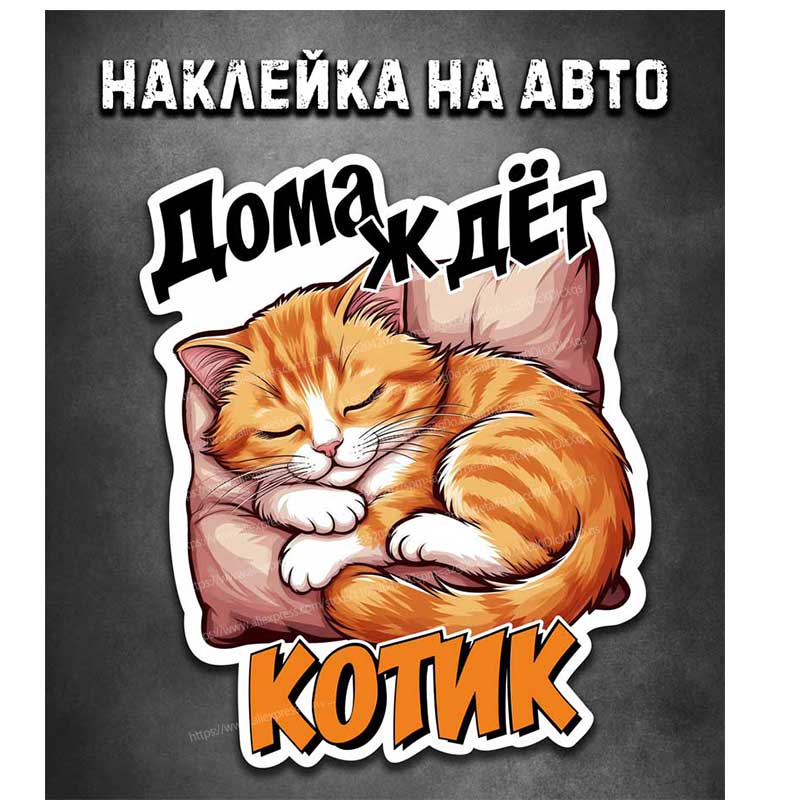 Kittens Waiting at Home Car Stickers Decals for Car Wall Glass Decoration Cute Pet Themed Vinyl Art Q33