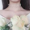 Простая мода универсальная женская ожерелье кружевной воротник цепочка корейский выпуск шейные украшения шейный ободок воротник шея минималистский шейный цепочка