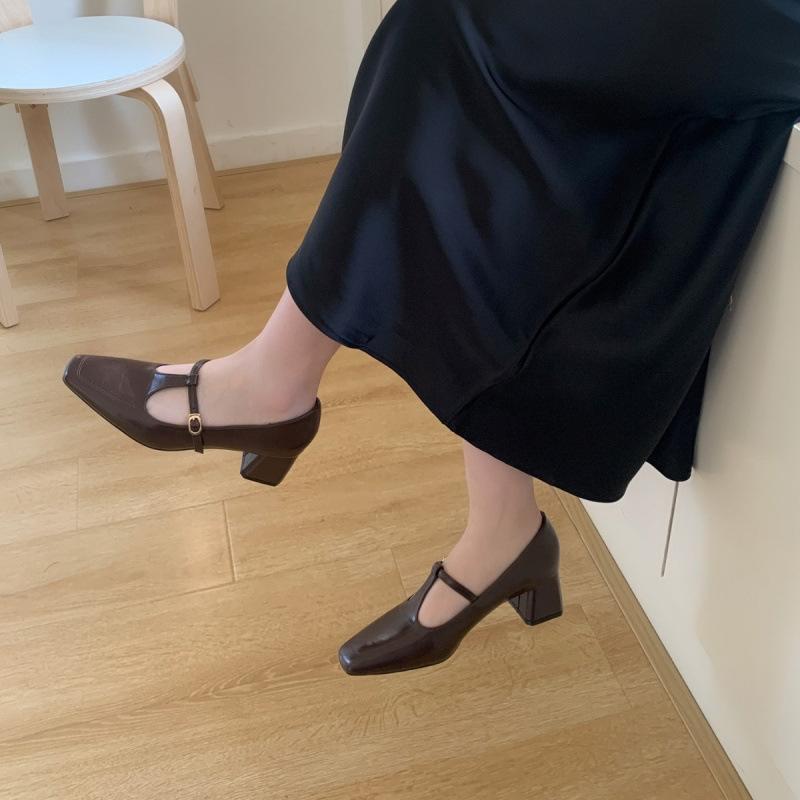 French Gentle Single Shoes Female 2025 Spring New Mary Jane Thick Heel Evening Shoes with Skirt Fairy Style Grandma Shoes Tide