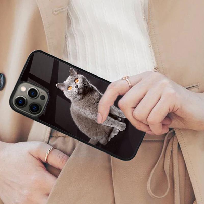 Beautiful Grey British Shorthair Cat Magnetic Phone Case For iPhone 17 Air 16 14 13 12 Pro Max 15 Plus Wireless MagSafe Cover