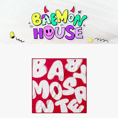 Предзаказ шарфа BABYMONSTER BAEMON House