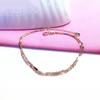 Purple Gold Water Corrugated Anklet Simple Rose Gold Plated Shiny Double Sequined Anklet Jewelry Women