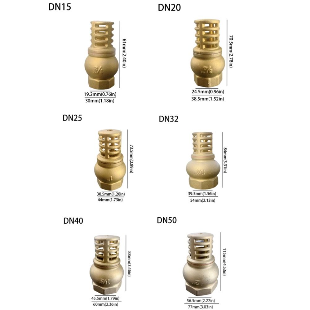 Anti Backflow Bottom Valve Female Thread Check Valve Brass Brass Foot Valve  Direct Supply