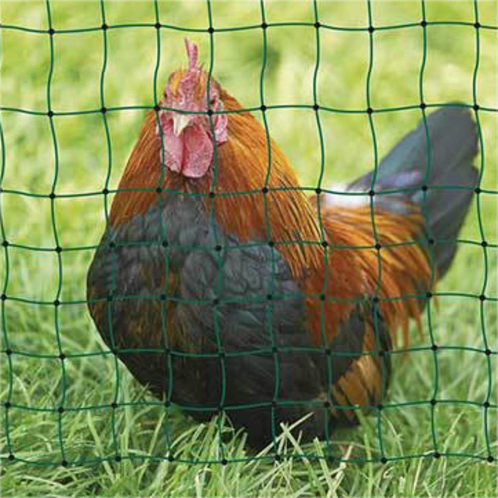 20/50 M Chicken Grazing Protection Net Green Woven Net Orchard Bird Protection Net Crop Protection Fence Net Plant Garden Net
