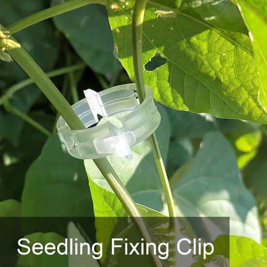 20Pcs Seedlings Fixing Clips Quick-open Plant Support Clips Clear Vine Fixing Buckles for Grafting Tying Vines And Hanging Plants Healthy Growth