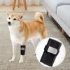 Canine Front Leg Support Brace for Carpal Injuries