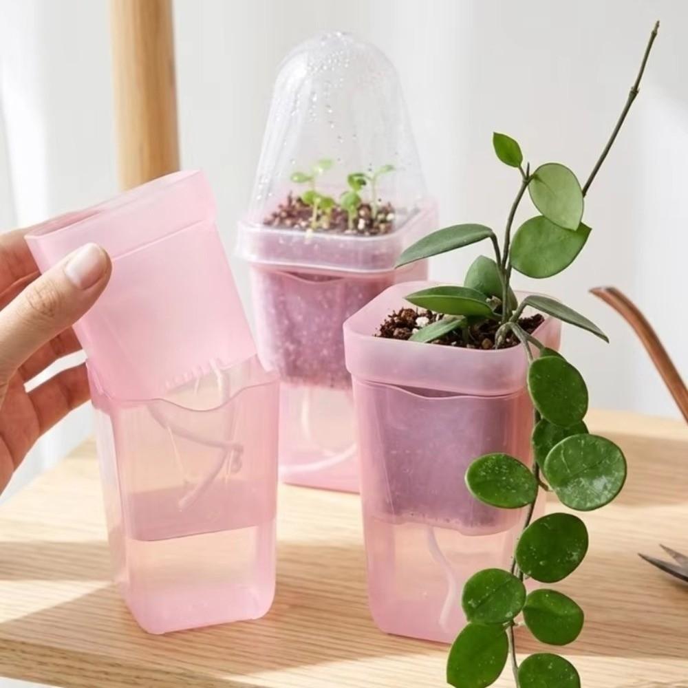 Plastic Self-Watering Flower Pots Root View Nursery Pots New Hydroponic Planters Succulent Growing