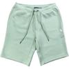 Polo Solid Color Small Pony Embroidered Lace-Up Straight Casual Shorts Men Shorts Mint-Green 710883336-028