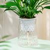 Self Watering Plant Pot Transparent Plastic Flower Pot Double-layer Automatic Lazy Potted Flower Pot Hydroponic Flowerpot