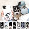 MaiYaCa Alaskan Huskies Dog Phone Case for iPhone 11 12 13 Mini Pro Max 8 7 6 6S Plus X 5 SE 2020 XR XS Funda Cover