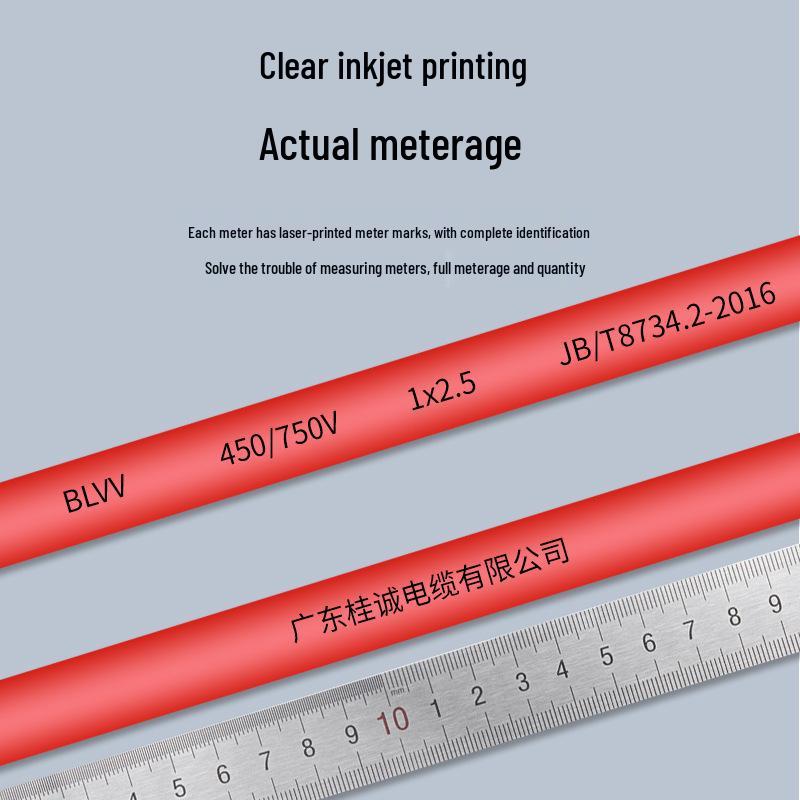 Guicheng Double Sheath Aluminum Core Cable - BLVV 10/16/25/35/50 Sq overhead wire