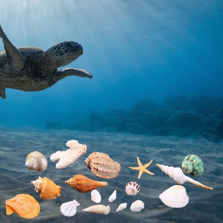 Морские ракушки Звезды Морские улитки Кораллы Декор для Свадебной Вечеринки