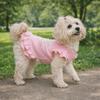 Lotus Leaf Edge Pet Base Dress Soft Comfortable Lover Pattern Pet Princess Dresses Solid Color Dog Skirt Shirts Party