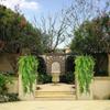 Green Persian Fern Leaves Hanging Fake Vine Grass Simple Home Garden Room Decor  Wedding Party Wall