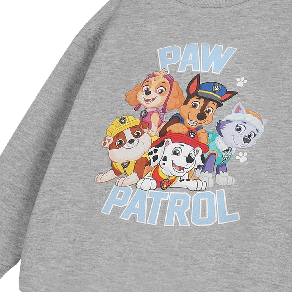 Paw Patrol Childrens/Kids Logo Sweatshirt