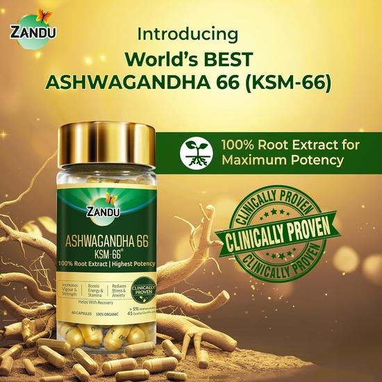 Zandu Ashwagandha 66 (KSM-66®) (600 mg) | Clinically Proven 100% Root Extract for Maximum Potency