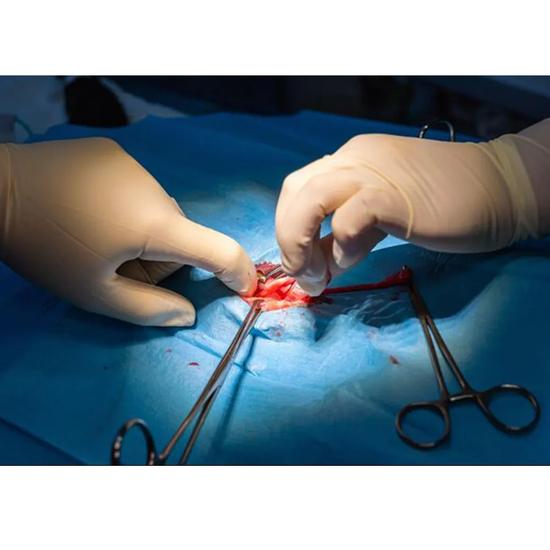 GDC Зажим Аллиса Детский-4x5 (12.5cm) (TFB)