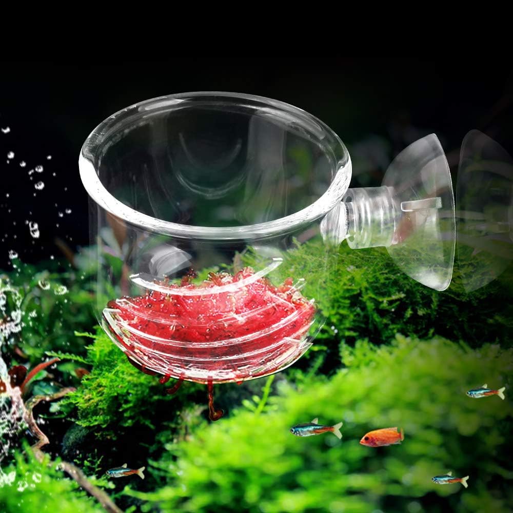 2Pcs Large Glass Feeding Cone Cup Plant Cup Brine Shrimp Live Red Worm Fish Feeder For Aquariums With Seam