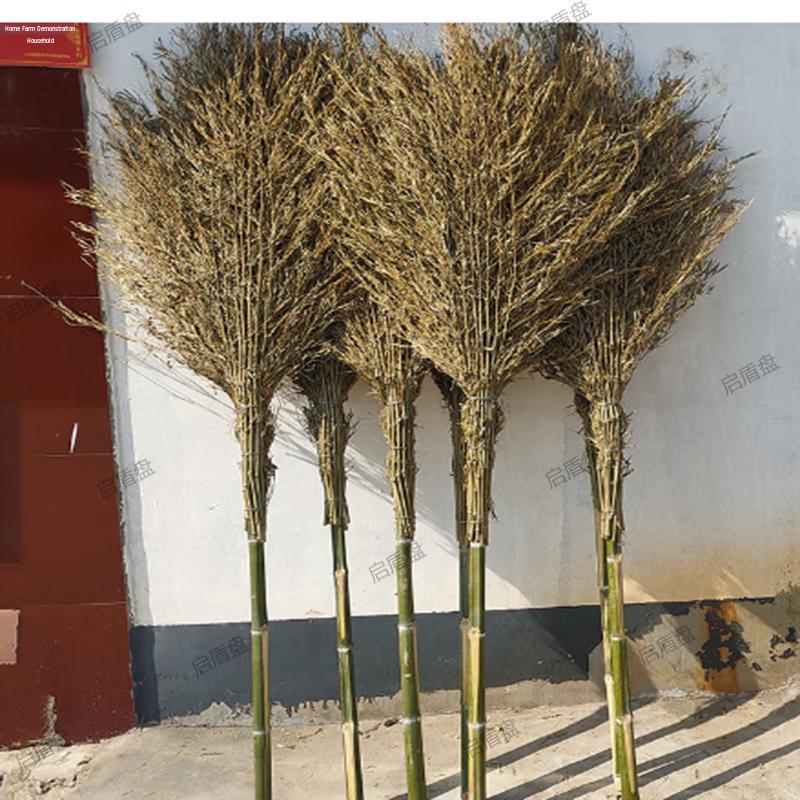 Qidun Heavy-Duty Bamboo Road Broom