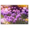 Canvas print, Violet garden