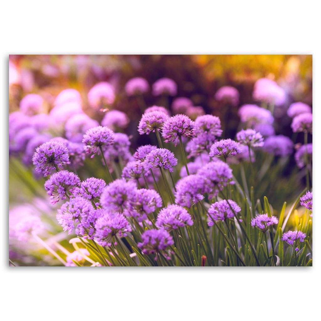 Canvas print, Violet garden