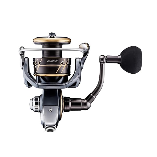 DAIWA Spinning Reel 22 CALDIA SW 8000-H (2022 Model)
