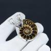 Ammonite Fossil Pendant Real Gemstone Pendant 925 Sterling Silver Pendant Ammonite Fossil Silver Jewelry Handmade Pendant Gift For Friend