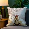 P-PrincesS M-Mononoke Pillow Case Plush Fabric Soft Double Sided Print Sofa Cushion Cover Throw Pillow Covers