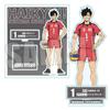 Kuroo Tetsuro Acrylic Stand Nekoma Haikyuu Official Merchandise