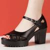 2025 Buckle Strap Women's Sandals New Open Toe Office and Career Summer Best Seller Comfortable Heeled Sandals Zapatos