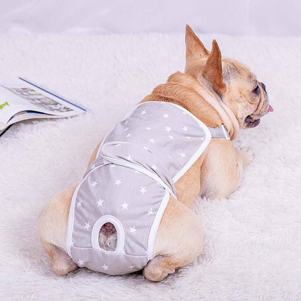 Girl Dog Sanitary Panties Physiological Pants Small Dog Period Jumpsuits Shorts Female Dog Diaper Pantie Washable Shorts