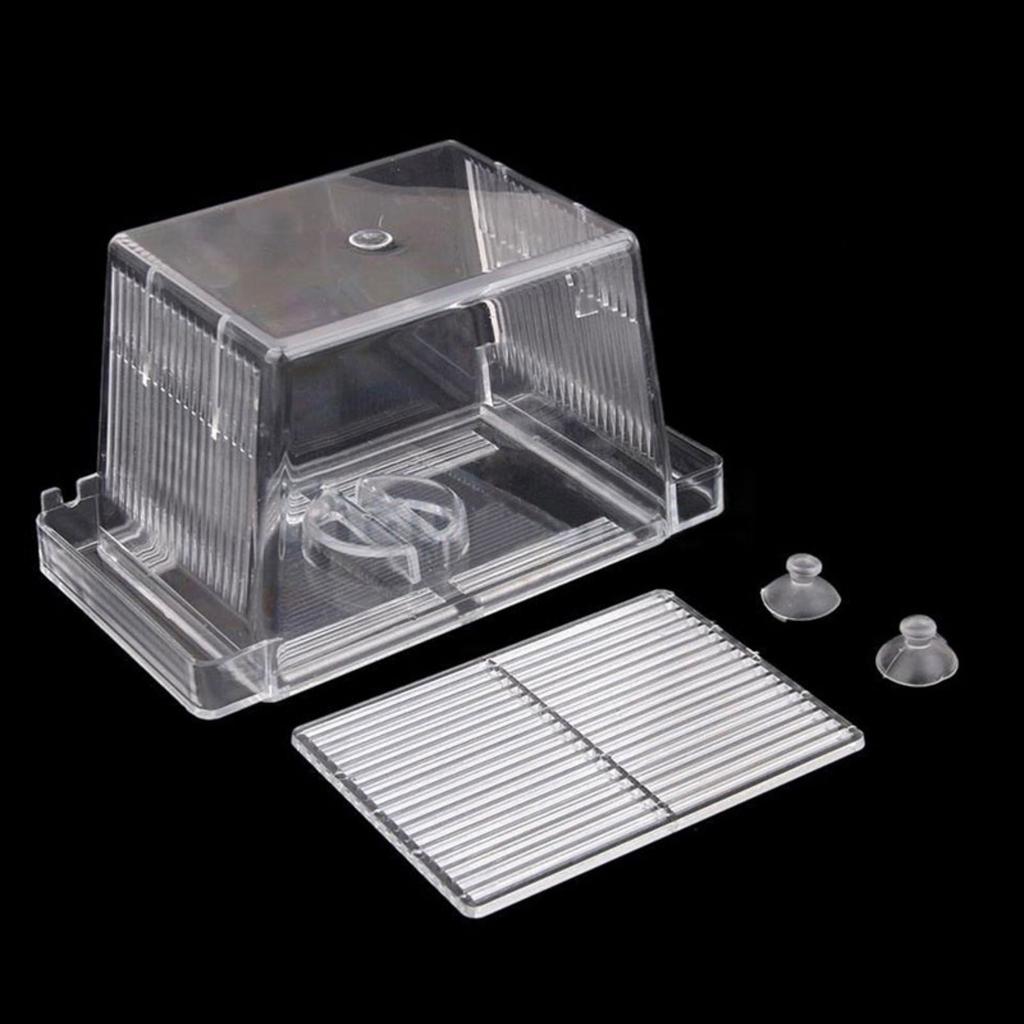 Aquarium Fish Tank Breeder Box Transparent Great Water Flow Box for Baby Fish Clownfish Guppy