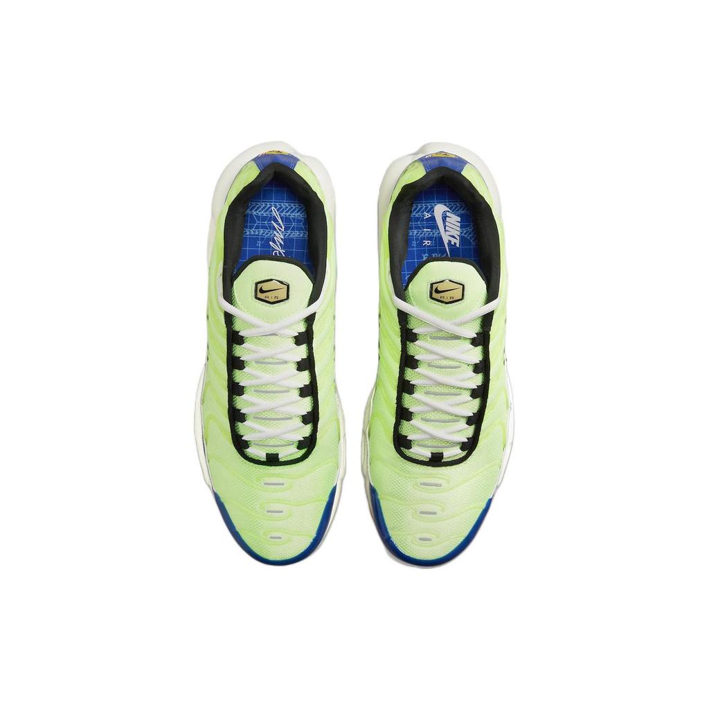 Nike Air Max Plus SE Frank Rudy - Ghost Green Мужские кроссовки Old-Royal Summit-White Black DZ0480-300