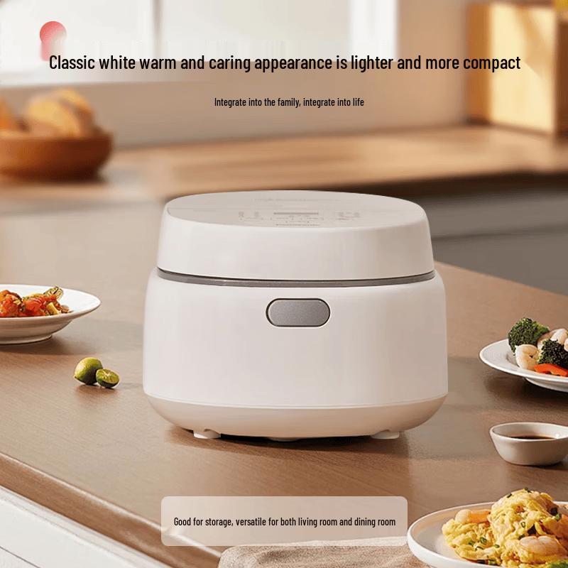 Panasonic Binchotan 4L Rice Cooker SR-DL151 CN plug (adapter included)