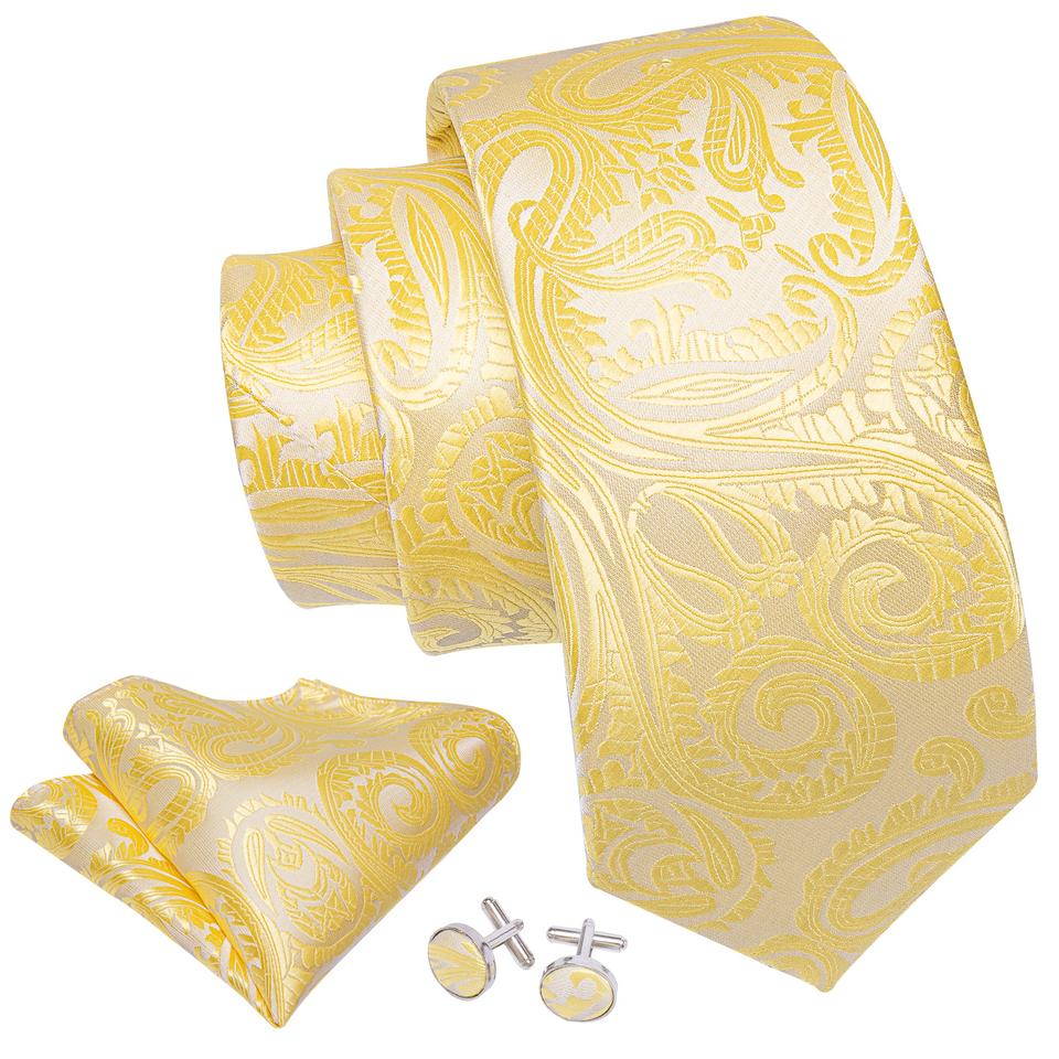 Barry.Wang Paisley Tie with Brooch for Men Wedding Formal Silk Necktie Hanky Cufflink Set