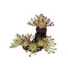 Simulation Glowing Coral Lifeike Coral Micro Landscape Fluorescent Coral  Aquarium Decor