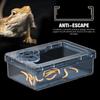 Reptile Lizards Geckos Feeding Bowls Prevent Tenebrio Molitor and Blaptica Dubia Transparent Trough Feeder Anti Overturning
